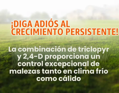 Vista 4 de Pro Brush & Poison Ivy Killer – 32oz – (Comparar con Crossroad) Herbicida concentrado posemergente para plantas leñosas, cepillo y control