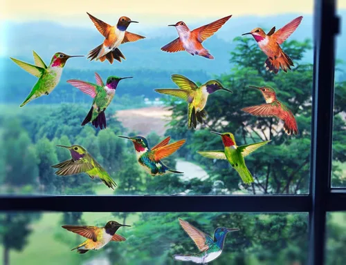 Vista 4 de Calcomanías anticolisión para ventana de alerta de pájaros, para evitar golpes de pájaros en el cristal de la ventana, juego de 12 colibríes