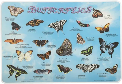 Vista 2 de Painless Learning Manteles individuales educativos para niños, mariposas e insectos [Juego de 2]