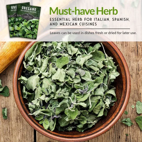 Vista 5 de Semillas de orégano para plantar – Hierba culinaria Origanum Vulgare para platos italianos – Cultiva en interiores o exteriores para un sabor fresco
