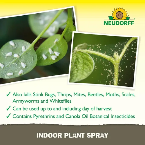 Vista 4 de Neudorff Spray para Plantas de Interior y de Invernadero, Mata Ácaros Araña, Cochinillas y Más de 100 Insectos Listados al Contacto para Jardinería