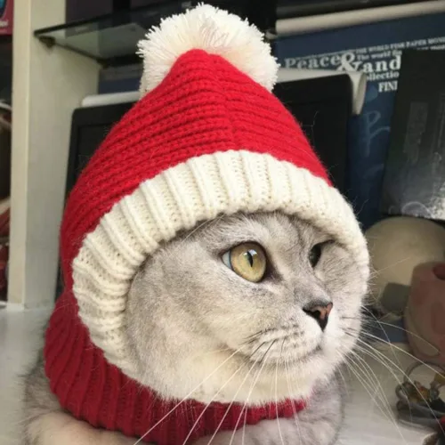 Vista 5 de POPETPOP Sombrero de Navidad para perro, divertido gorro de ganchillo para perro, rojo, cálido, para invierno, gorro de punto para el cuello