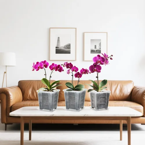 Vista 8 de Maceta cuadrada para orquídeas para interiores, maceta transparente