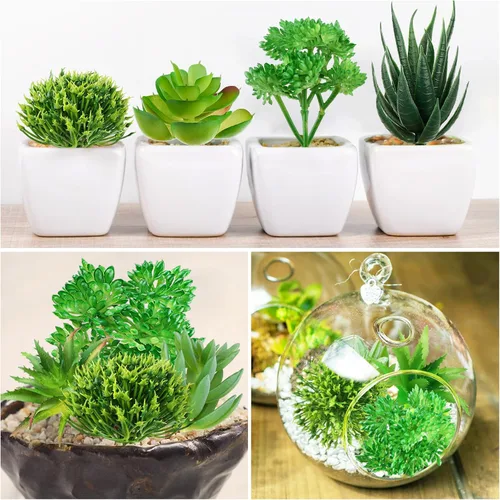 Vista 5 de QUOZUO Plantas suculentas artificiales, 14 plantas suculentas verdes, mini suculentas falsas para manualidades, hogar, jardín, oficina, fiesta