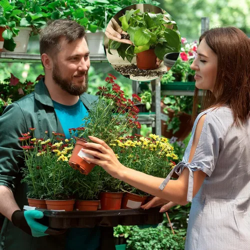 Vista 5 de Plantas de plástico de 6 pulgadas, macetas de inicio de semillas, macetas de siembra, macetas de plántulas, contenedor para plantas de flores