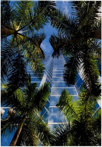 Vista 7 de 3dRose Paño de lavado 11x12 para cara y cuerpo - EE.UU., Florida, Miami, Brickell Avenue, edificios de gran altura. Árboles