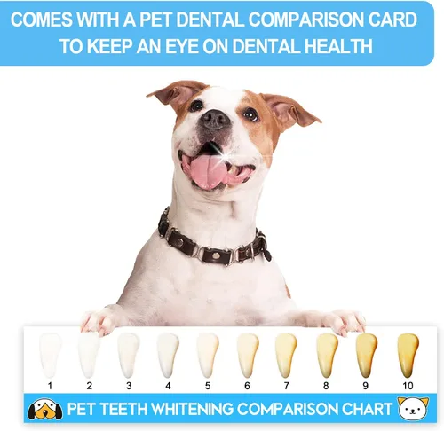 Vista 6 de Kit de cepillo de dientes para perros pequeños y cachorros, cerdas suaves, color blanco Cuidado suave para dientes pequeños. Cepillado