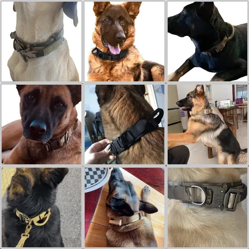 Vista 5 de Collar táctico para perro, collar militar de entrenamiento para perros, asa de control y hebilla de metal pesado para entrenamiento de perros Negro