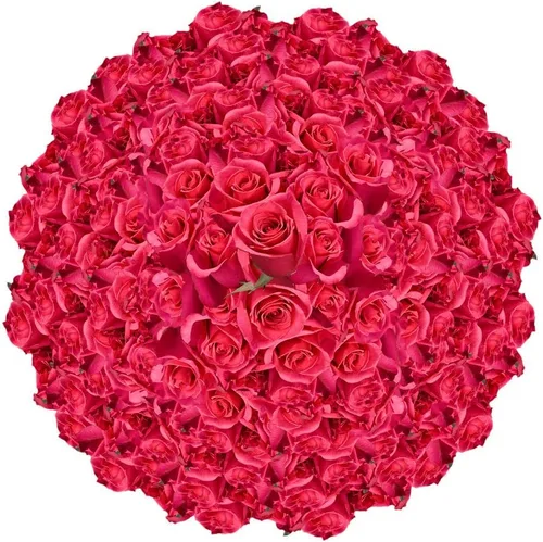 Vista 14 de GlobalRose Ramo de 50 rosas surtidas, rosas de origen responsable, flores frescas, ramo fresco de flores seleccionadas a mano para el día