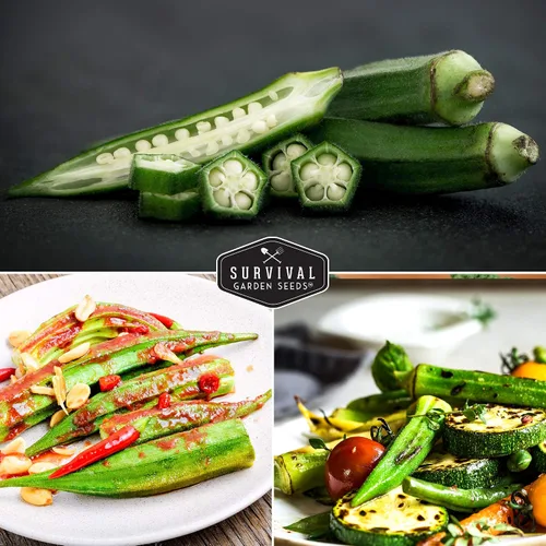 Vista 5 de Survival Garden Seeds - Semilla de okra esmeralda para plantar - Paquete con instrucciones para plantar y cultivar Okra tierna y grande en tu huerto