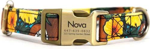 Vista 19 de Collar de perro personalizado con nombre y número de teléfono grabado, collar ajustable personalizado para cachorros, collar de algodón orgánico