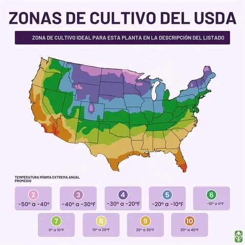 Vista 7 de Mezcla otoñal de flores silvestres