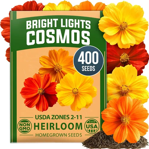 Vista 97 de HOME GROWN Bachelor Button Tall Mix 700+ Semillas de flores Centaurea