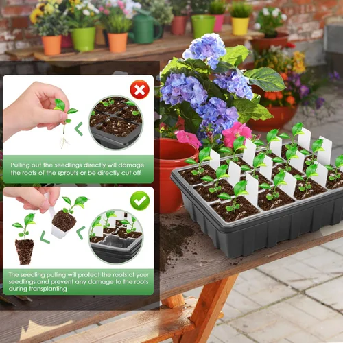 Vista 3 de Paquete de 5 bandejas para plantas con 60 extractores reutilizables, bandeja de inicio de semillas para semillas de lechuga con kit de cúpula