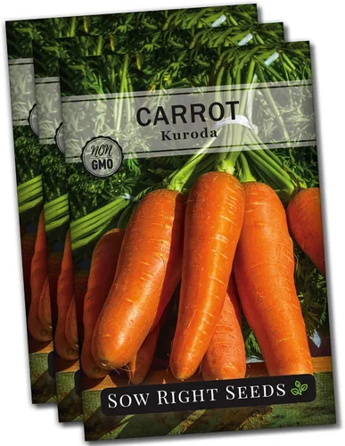 Vista 8 de Sow Right Seeds - Semillas de zanahoria Kuroda para plantar - Paquete de reliquia sin OMG con instrucciones para plantar un huerto casero - Ideal