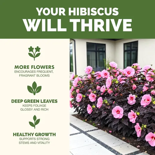 Vista 2 de Fertilizante de hibisco: alimento líquido para plantas para más flores, color vibrante y crecimiento tropical saludable, 8 onzas