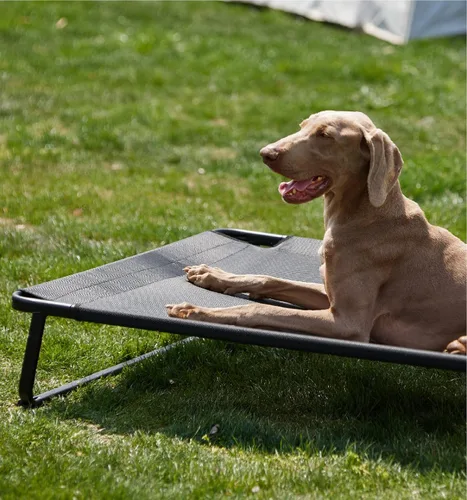 Vista 8 de MADE 4 PETS Cama elevada para perros XXL – Cuna elevada para mascotas al aire libre con patas a presión, malla lavable, pies antideslizantes, cama