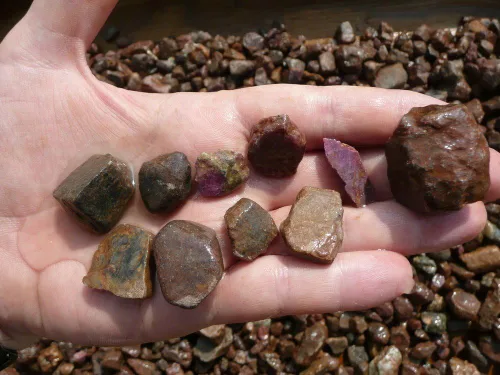 Vista 4 de Fantasia Materiales: 1 libra de piedras en bruto de zafiro y rubí de la India