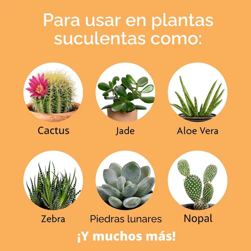 Vista 3 de Miracle-Gro Fertilizante para plantas suculentas, 8 oz