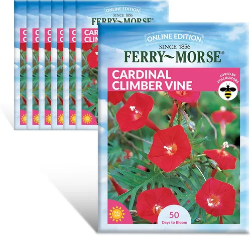 Vista 27 de Ferry-Morse Edición Online Bean Blue Lake Bush 274 Semillas Orgánicas Multipack – Paquete de 8