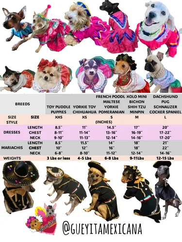 Vista 3 de Mariachi dog costume (S)