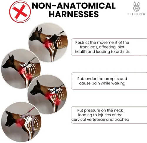 Vista 5 de Anatomically Correct - Arnés para perro en forma de Y, no restrictivo, sin tirones, ajustable de 6 puntos para movimiento natural, a prueba