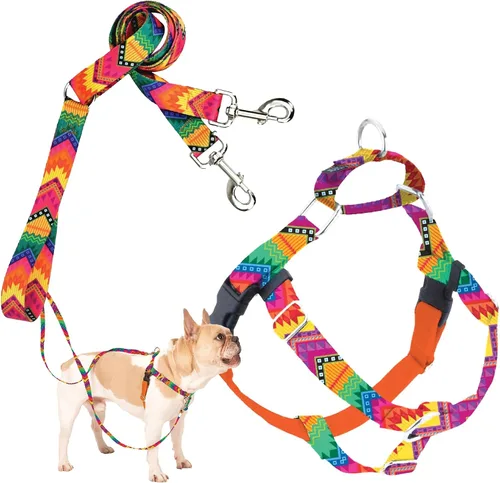 Vista 46 de 2 Hounds Design Freedom - Arnés para perro sin tirones, arnés ajustable y correa, fácil de caminar y control cómodo, se adapta a perros pequeños