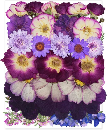Vista 5 de 84Pcs Real Natural Dried Pressed Flowers & Green Leaves for DIY Crafts, Resin, Scrapbooking, Frame Decor + 4 Packs + Tweezers