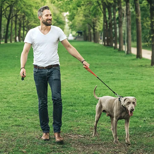 Vista 6 de Correa de perro resistente, correa de metal a prueba de mordidas para perros grandes (hasta 250 libras), correas de perro de cuerda de alambre de 5