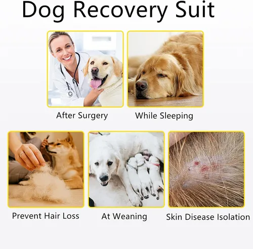 Vista 8 de Coppthinktu Traje de recuperación de cirugía para perros, gatos, perros, mameluco, traje de recuperación para perros hembras para pequeñas y Rosa