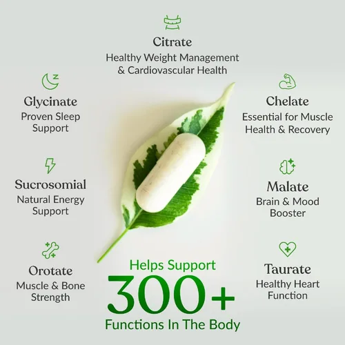 Vista 3 de BIOptimizers Suplemento innovador de magnesio con 500 mg - 7 formas de magnesio: glicinato, malato, citrato y más - Apoyo natural para el sueño