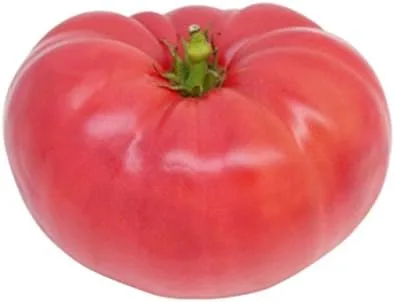 Vista 3 de Hortalizas de jardín de tomate ponderosa rosadas de gran reliquia de Seed Kingdom a granel de 1 onza