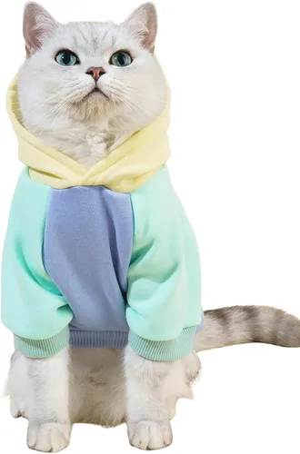 Vista 10 de QWINEE Sudadera básica con capucha para perro, suéter cálido para gatos, ropa para mascotas para Chihuahua, cachorro, gatito, perros pequeños