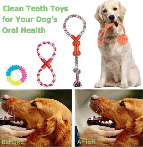 Vista 4 de Juguetes masticables para perros pequeños a medianos – Paquete de 10 juguetes resistentes para perros, juguete interactivo de dentición de cuerda