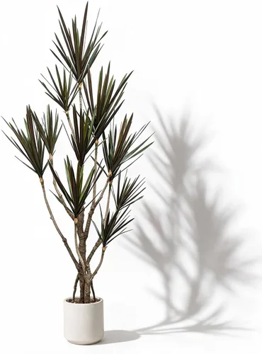 Vista 10 de Dracaena marginata - Planta artificial de 5.2 pies, árbol de dragón