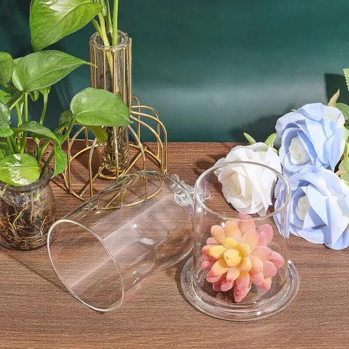 Vista 4 de CHGCRAFT Cubierta de cúpula de cristal con diseño de pájaro en forma de arco con base de vidrio, vitrina decorativa para portavelas, plantas