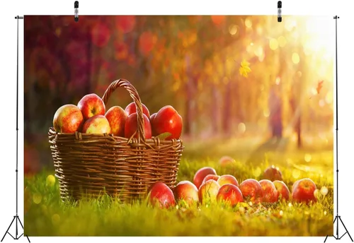 Vista 5 de BELECO Telón de fondo de fotografía de manzanas de otoño de 6 x 4 pies, color manzanas en cesta, luz del sol, fondo borroso de bokeh, campo, campo