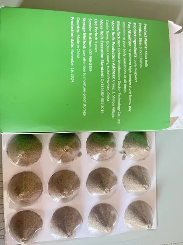 Vista 6 de Ajenjo silvestre para moxibustión, 40 piezas de palitos de moxa