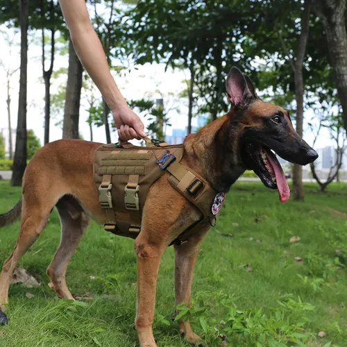 Vista 3 de ICEFANG GN3 Arnés táctico para perro con hebilla 6X, chaleco Molle para perro con asa, cobertura corporal 3/4, panel de gancho y bucle para parche