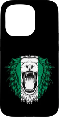 Vista 14 de Nigeria Case for iPhone 17