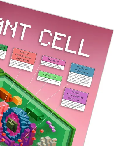 Vista 3 de hBARSCI CellCraft - Juego de póster de células de animales y plantas, 2 gráficos de estructura de células de videojuegos, 24 x 36 pulgadas cada uno