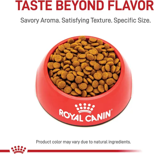 Vista 13 de Royal Canin Cuidado del cabello y la piel Alimento seco para gatos, bolsa de 7 libras