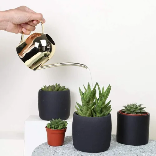 Vista 6 de Regadera para plantas de interior, regadera pequeña de 17 onzas de acero inoxidable con boquilla larga para plantas de interior y exterior (dorado)