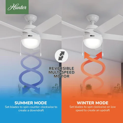 Vista 3 de Hunter Anslee, Ventilador de techo, para interiores, con luz LED, 52 pulgadas, blanco fresco Montaje estándar, cadena de tracción, 5 cuchillas