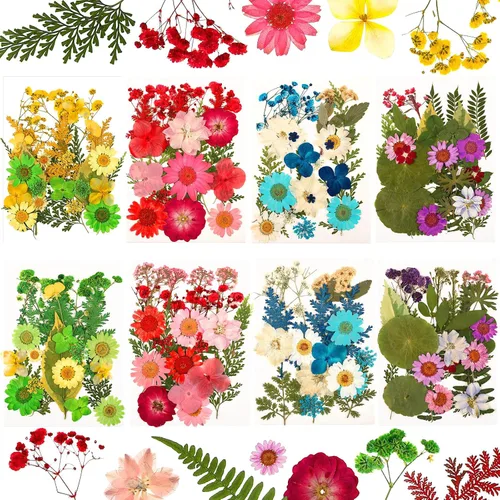 Vista 9 de Nuanchu 200 piezas de flores secas prensadas para resina, flores naturales prensadas reales, hojas a granel para manualidades, manualidades, arte