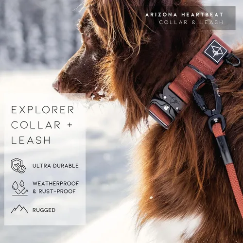 Vista 8 de MADE TO ROAM - Collar Premium Explorer Control, collar ajustable de nailon resistente para perro con hebilla metálica de liberación rápida y mango