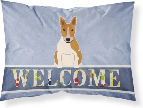 Vista 192 de Caroline's Treasures BB2515PILLOWCASE Between Friends Appenzeller Sennenhund - Funda de almohada de tela estándar, ligera, súper suave, fácil