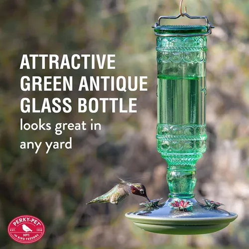 Vista 3 de Perky-Pet 8108-1SR - Comedero de vidrio para colibríes para exteriores, estilo botella antigua, comederos para colibríes de 10 onzas para decoración