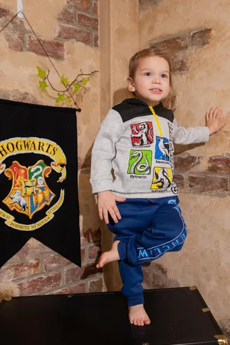 Vista 4 de Harry Potter Gryffindor Slytherin Hufflepuff Ravenclaw - Paquete de 2 pantalones deportivos de forro polar para niños pequeños a grandes