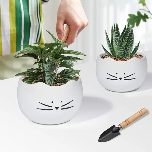 Vista 3 de Koolkatkoo Juego de 2 macetas para suculentas de 5.5 pulgadas con diseño de gatos